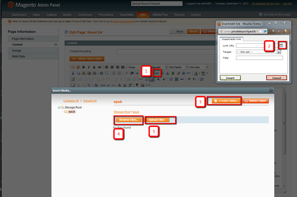 upload file and link in CMS page