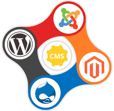cms web design