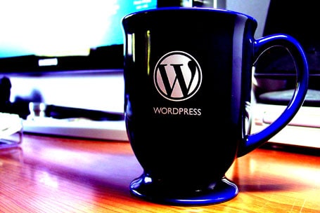 WordPress Development: Embrace it Now