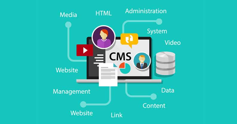 what is content management system examples