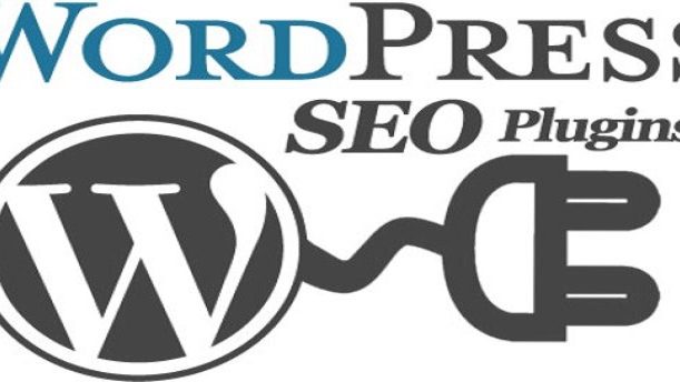 cropped-SEO-Plugins-for-WordPress-1