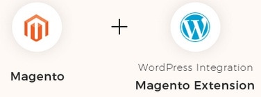 magento_wordpress