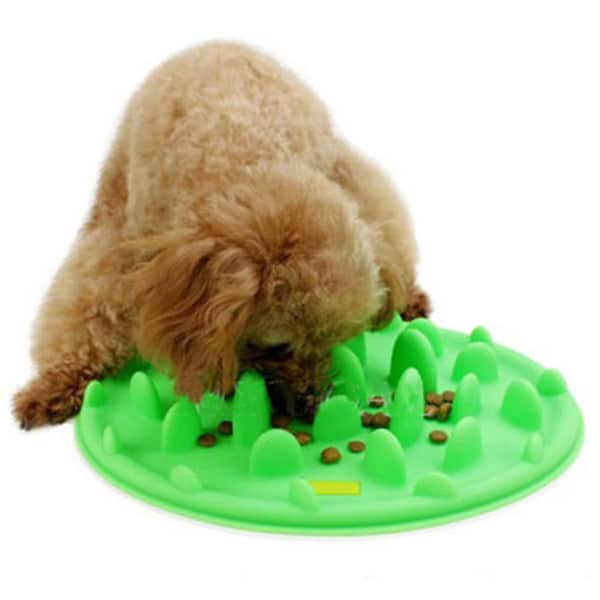 pet food puzzle