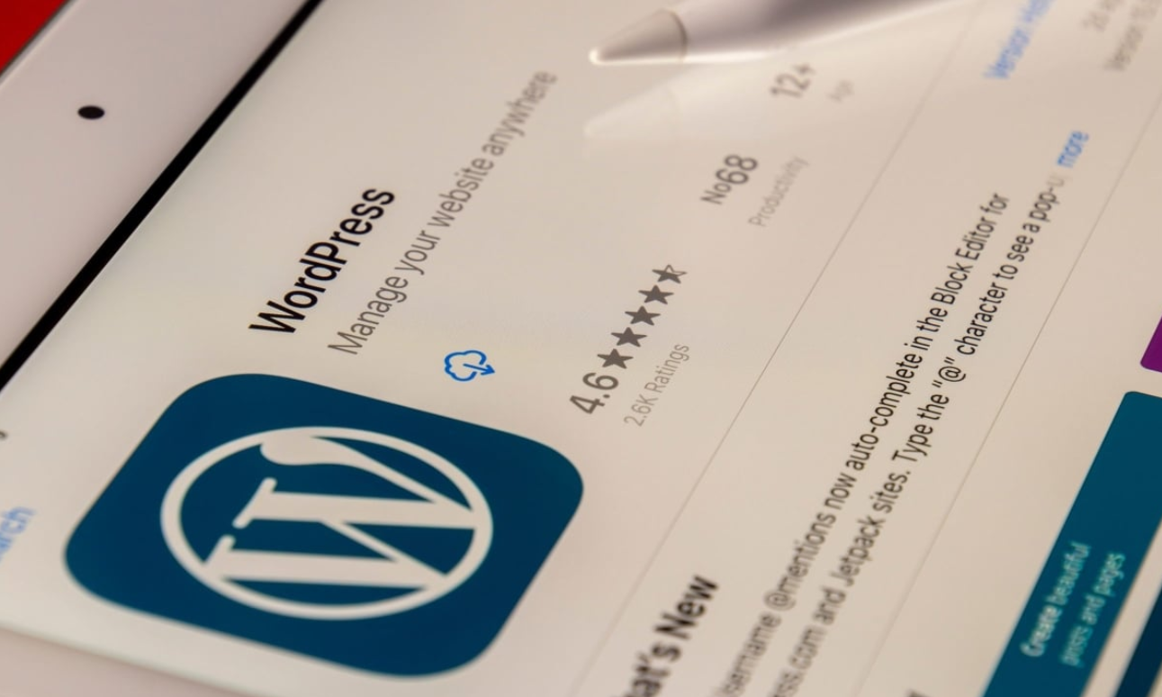 What Is the Role of a WordPress Developer