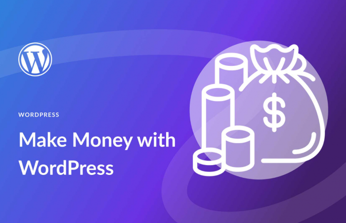How to Make Money With WordPress Knowledge