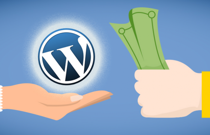 How to Sell and Promote WordPress Themes